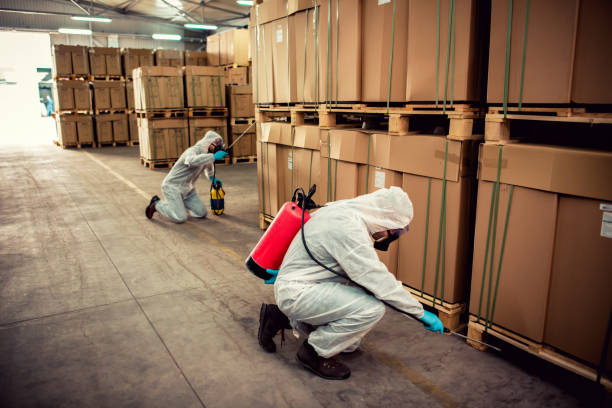 Best Residential Pest Control  in Ironwood, MI