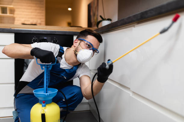 Best Exterminator Services  in Ironwood, MI