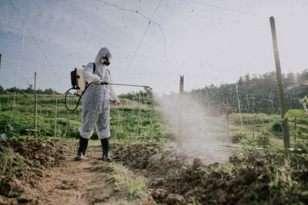 Best Ant Control Services  in Ironwood, MI