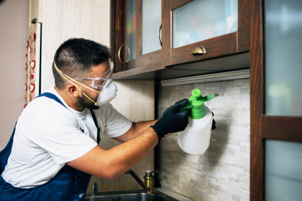 Best Emergency Pest Control  in Ironwood, MI