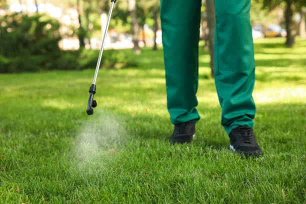 Best Pest Removal Services  in Ironwood, MI