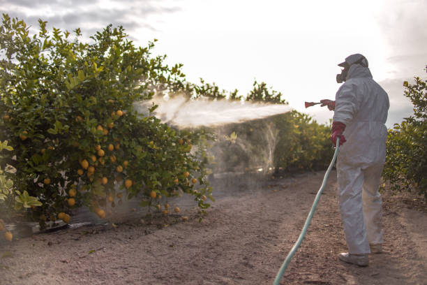 Pest Control for Restaurants in Ironwood, MI