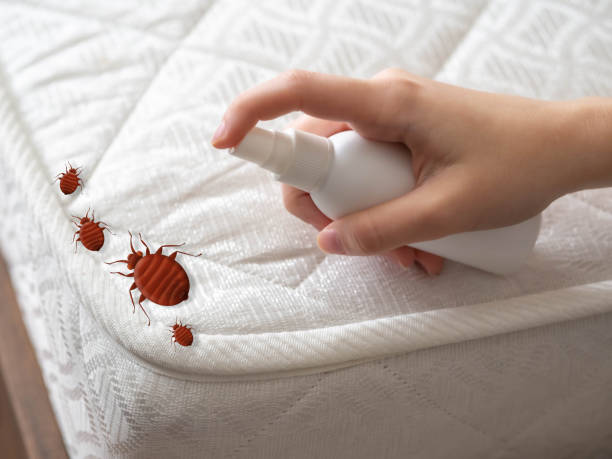 Best Best Pest Control Companies  in Ironwood, MI