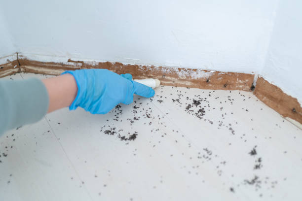 Best Commercial Pest Control Services  in Ironwood, MI